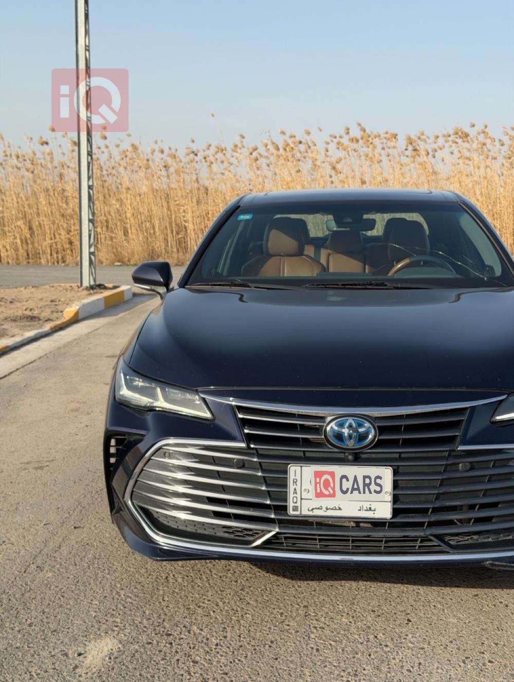 تويوتا أفالون